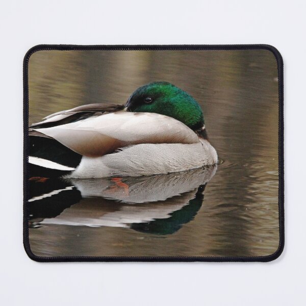 Item preview, Comfy Mallard designed and sold by Debbie Oppermann.