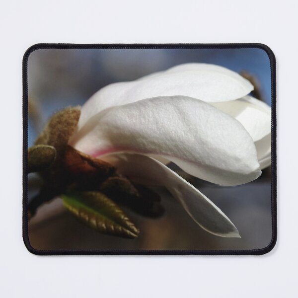 Item preview, White Magnolia Bud designed and sold by Debbie Oppermann.