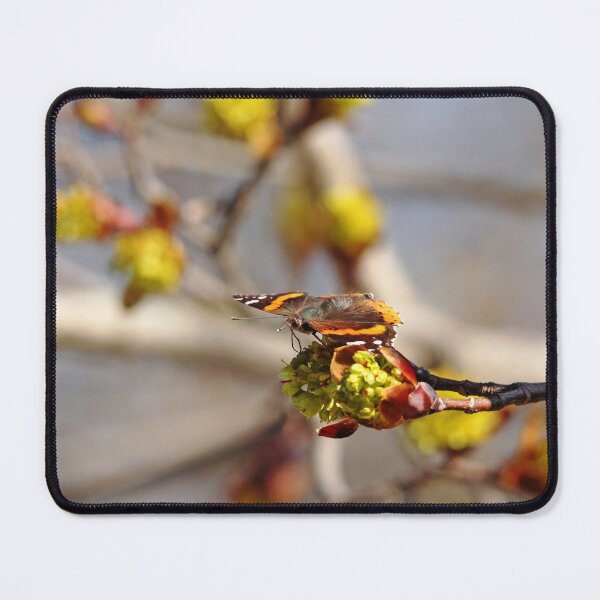 Item preview, Red Admiral On Maple Bud designed and sold by Debbie Oppermann.