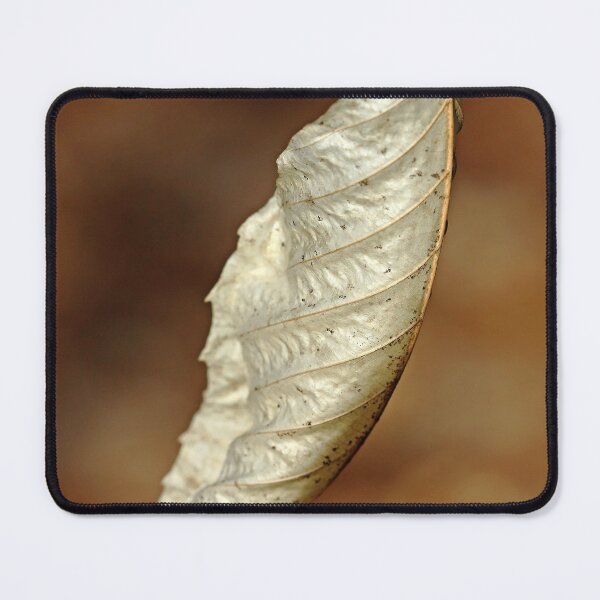 Item preview, Brown Paper designed and sold by Debbie Oppermann.