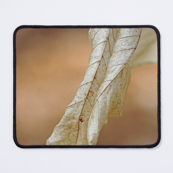 Item preview, Papery Beech designed and sold by Debbie Oppermann.