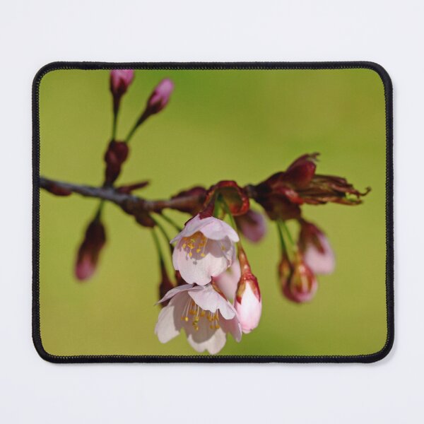 Item preview, Blossoms And Buds designed and sold by Debbie Oppermann.