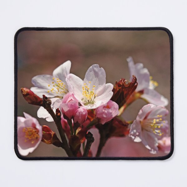 Item preview, Blossoms Bouquet designed and sold by Debbie Oppermann.