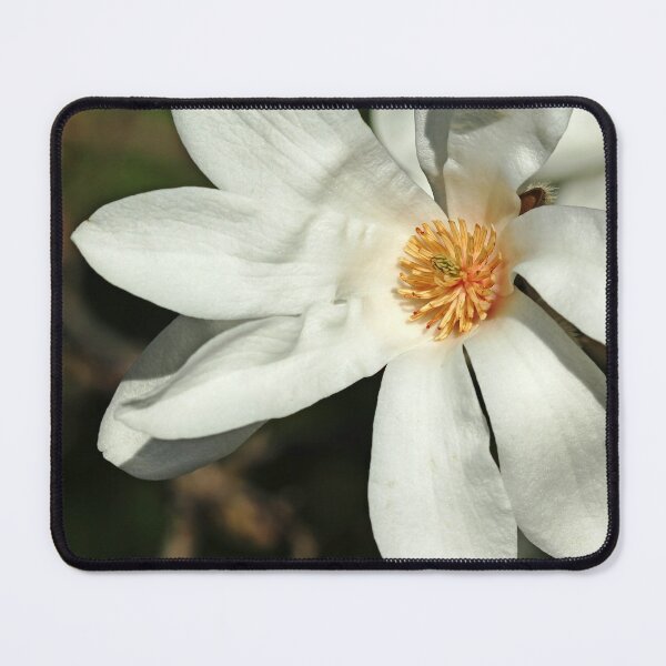 Item preview, White Magnolia designed and sold by Debbie Oppermann.
