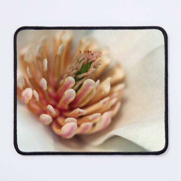 Item preview, Magnolia Heart designed and sold by Debbie Oppermann.