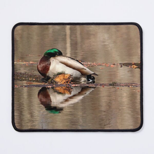 Item preview, Sleepy Mallard designed and sold by Debbie Oppermann.