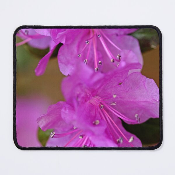 Item preview, Rhododendron In Lavender designed and sold by Debbie Oppermann.