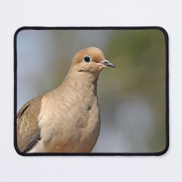 Item preview, Sweet Dove designed and sold by Debbie Oppermann.