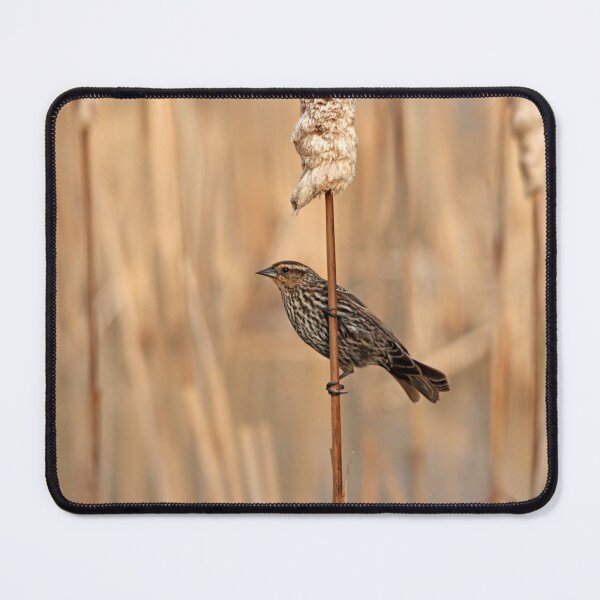 Item preview, Spring Female Red Winged Blackbird designed and sold by Debbie Oppermann.