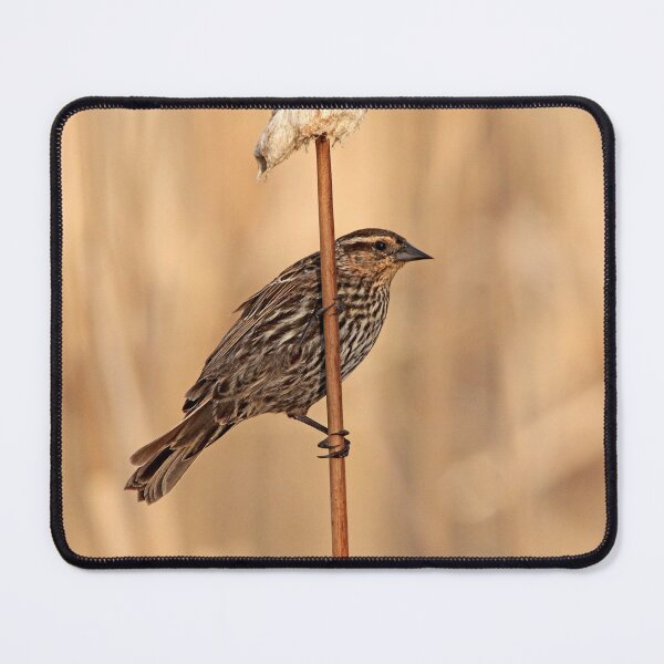 Item preview, The Lady Blackbird designed and sold by Debbie Oppermann.