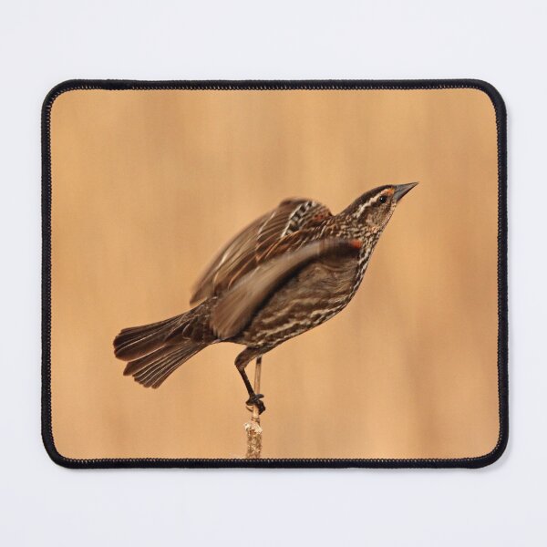 Item preview, She's A Lady designed and sold by Debbie Oppermann.
