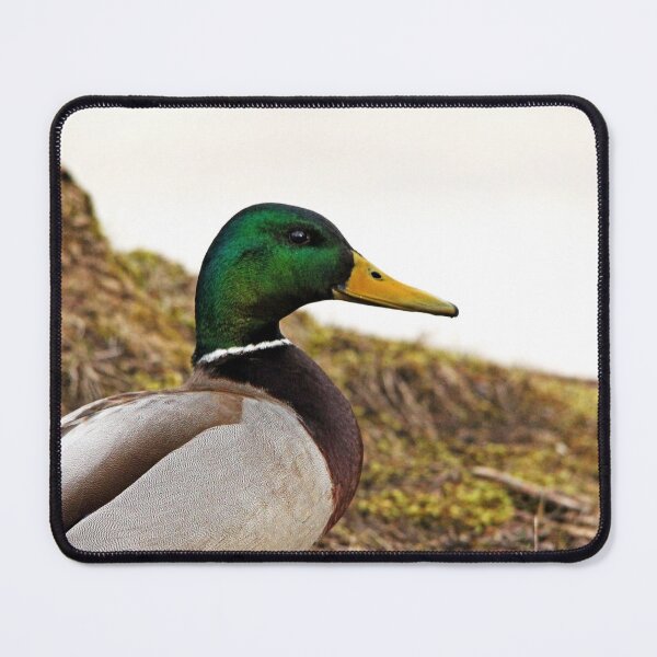 Item preview, Drake Mallard Portrait designed and sold by Debbie Oppermann.