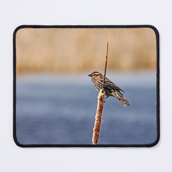 Item preview, Pond Queen designed and sold by Debbie Oppermann.