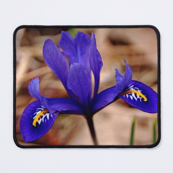 Item preview, Harmony In Blue designed and sold by Debbie Oppermann.