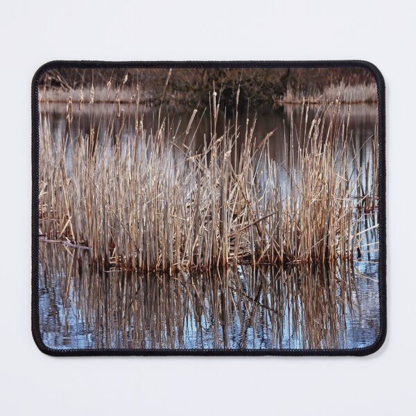 Item preview, Spring Cattails designed and sold by Debbie Oppermann.