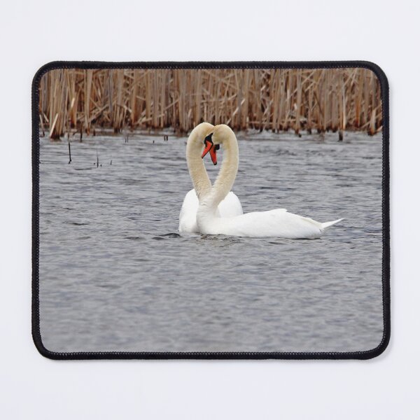 Item preview, Swan Love designed and sold by Debbie Oppermann.