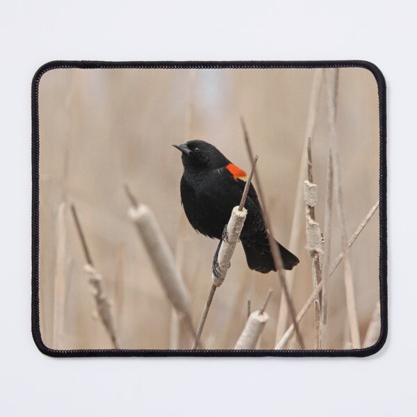 Item preview, Herald Of Spring designed and sold by Debbie Oppermann.