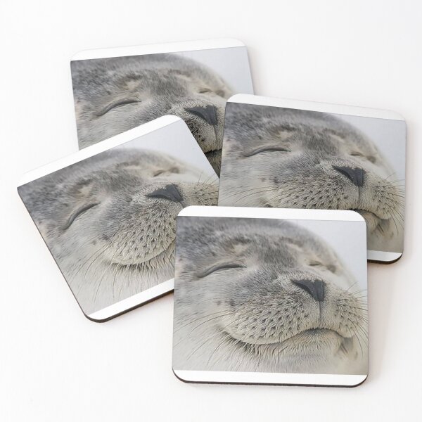 Item preview, Seal of Approval designed and sold by Meme Economy.