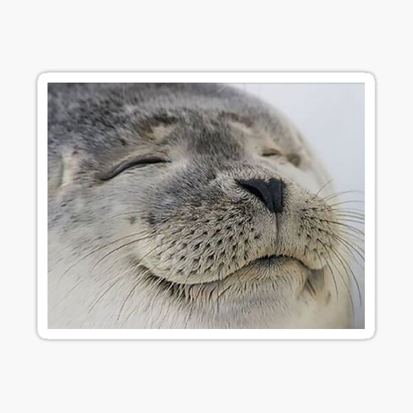 Item preview, Seal of Approval designed and sold by Meme Economy.