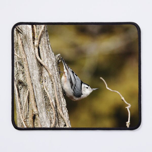 Item preview, Nuthatch Pose designed and sold by Debbie Oppermann.