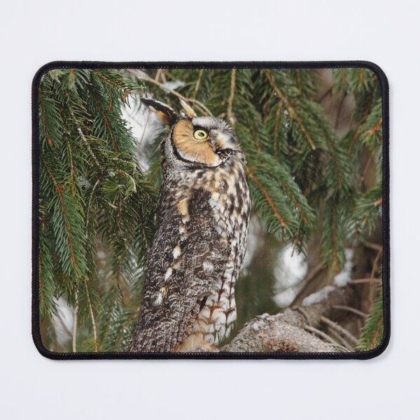 Item preview, Not A Good Idea designed and sold by Debbie Oppermann.