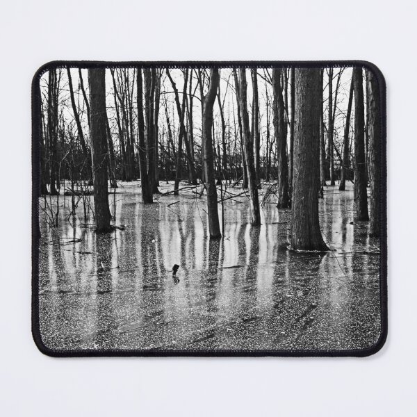 Item preview, Iced Pond Black And White designed and sold by Debbie Oppermann.