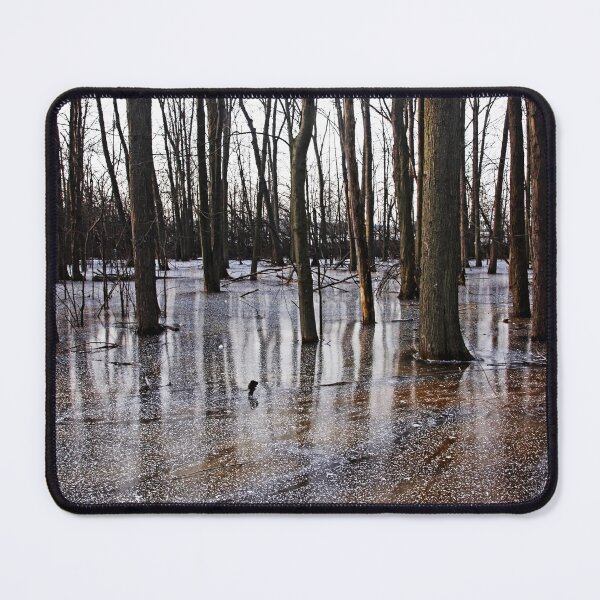 Item preview, Iced Pond designed and sold by Debbie Oppermann.