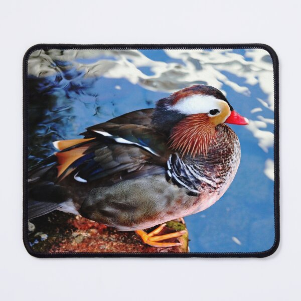 Item preview, Mandarin Duck designed and sold by Debbie Oppermann.