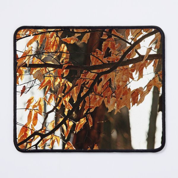 Item preview, Beech Leaves In Winter designed and sold by Debbie Oppermann.