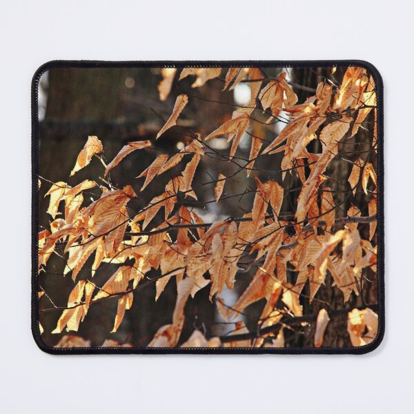 Item preview, Papery Beech Leaves designed and sold by Debbie Oppermann.