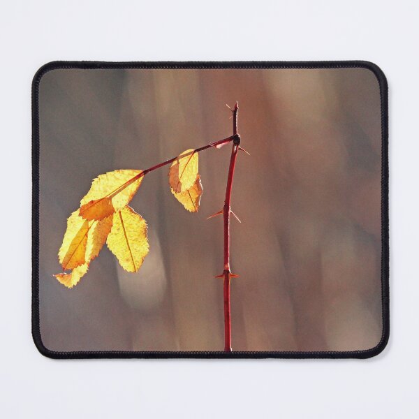 Item preview, Remnants designed and sold by Debbie Oppermann.