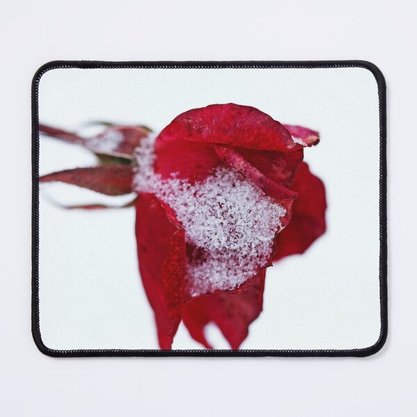 Item preview, Winter Rose designed and sold by Debbie Oppermann.