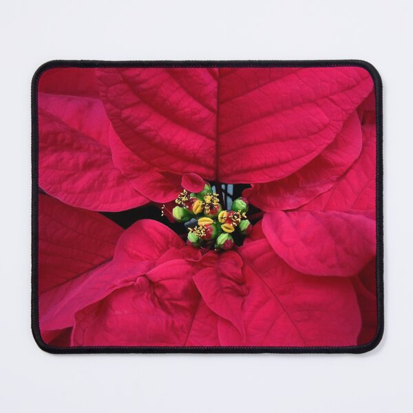 Item preview, Christmas Flower designed and sold by Debbie Oppermann.