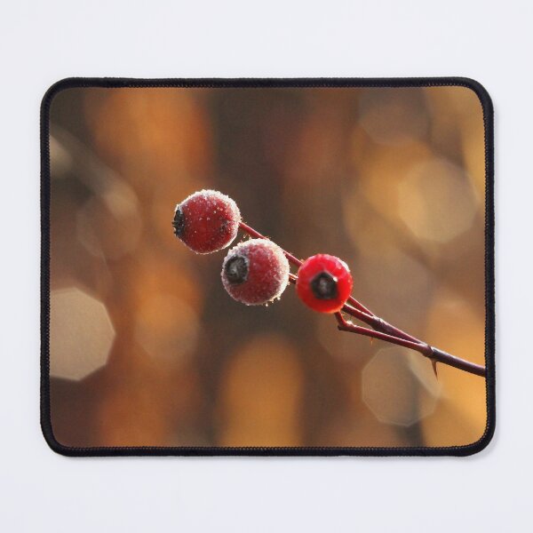 Item preview, Frosted Rose Hips designed and sold by Debbie Oppermann.