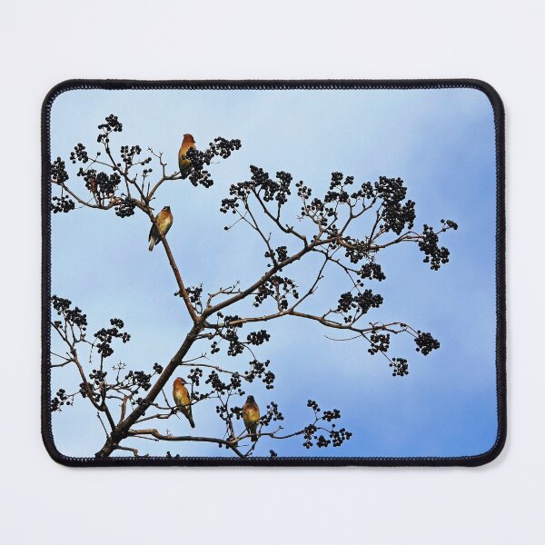 Item preview, Waxwing Museum designed and sold by Debbie Oppermann.