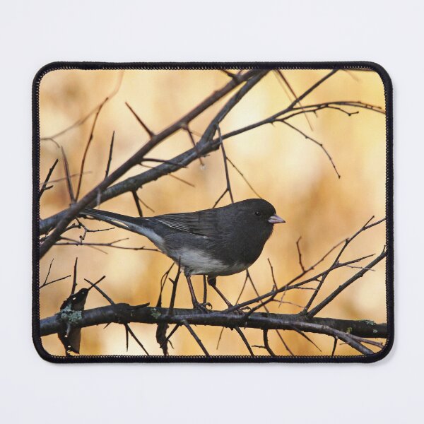 Item preview, Autumn Junco designed and sold by Debbie Oppermann.