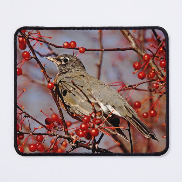 Item preview, Robin Heaven designed and sold by Debbie Oppermann.