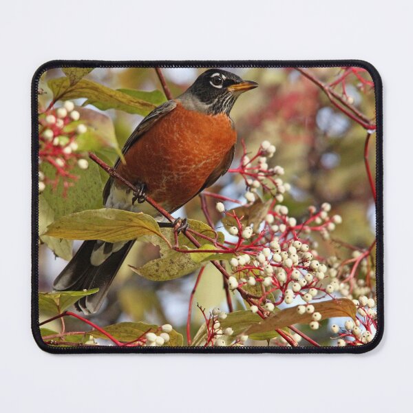 Item preview, Fall Robin designed and sold by Debbie Oppermann.
