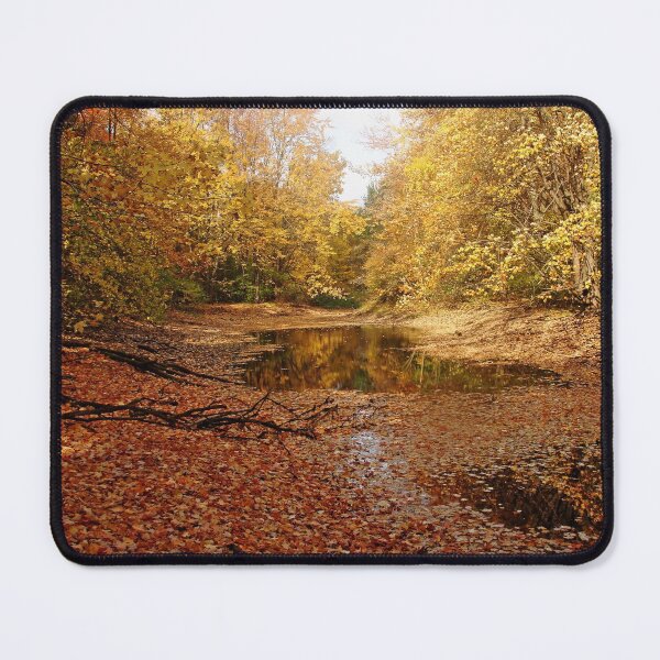 Item preview, Autumn Beauty At The Pond designed and sold by Debbie Oppermann.