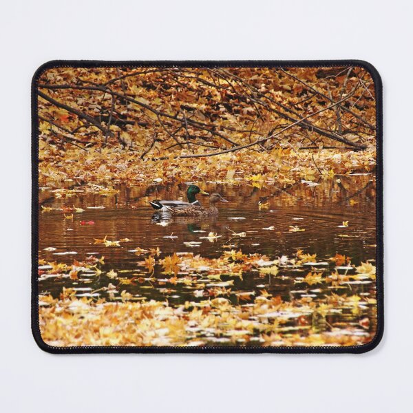 Item preview, Autumns Mallards designed and sold by Debbie Oppermann.