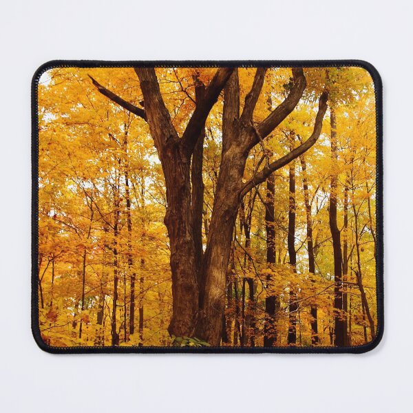 Item preview, A Golden Autumn Day designed and sold by Debbie Oppermann.