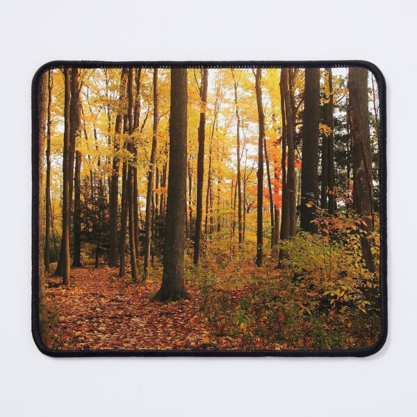 Item preview, Autumn Woods designed and sold by Debbie Oppermann.