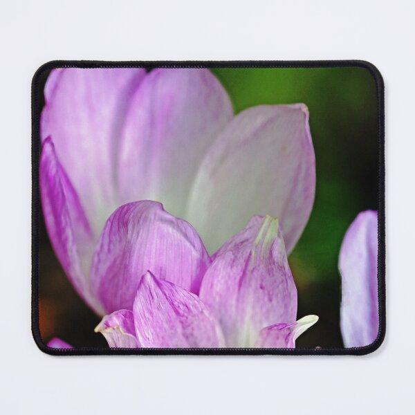Item preview, Fall Crocus designed and sold by Debbie Oppermann.