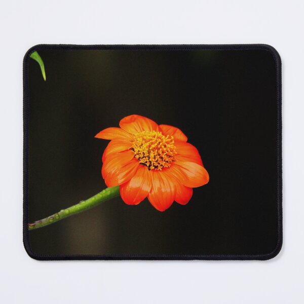 Item preview, Mexican Sunflower designed and sold by Debbie Oppermann.