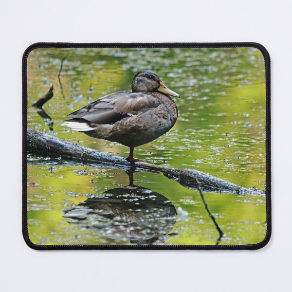 Item preview, Balance designed and sold by Debbie Oppermann.