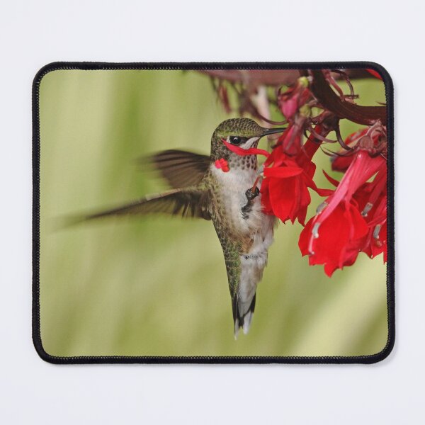 Item preview, Gentle Caress designed and sold by Debbie Oppermann.