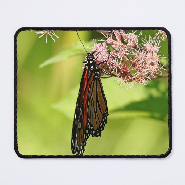 Item preview, Folded Monarch designed and sold by Debbie Oppermann.