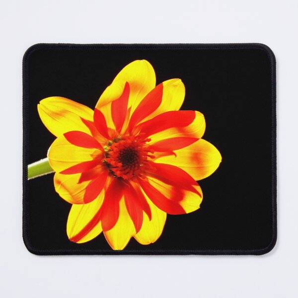Item preview, Glowing Tithonia designed and sold by Debbie Oppermann.