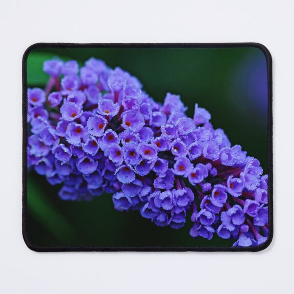 Item preview, Dew Kissed Buddleia designed and sold by Debbie Oppermann.