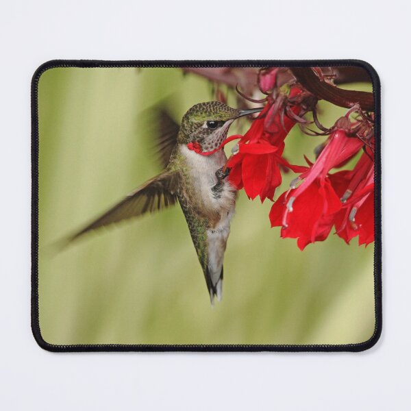 Item preview, Tickle Me Red designed and sold by Debbie Oppermann.